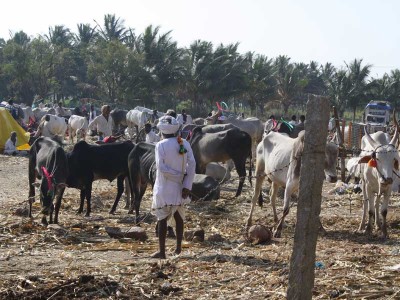 Sulle tracce dell’India